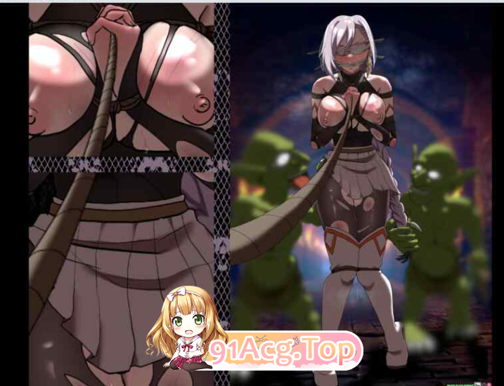 姫ハ運命ニ呻吟ヘリ Destined Damsel In Distress V1.05 官中步兵 双端 官中高清完整版 预览图