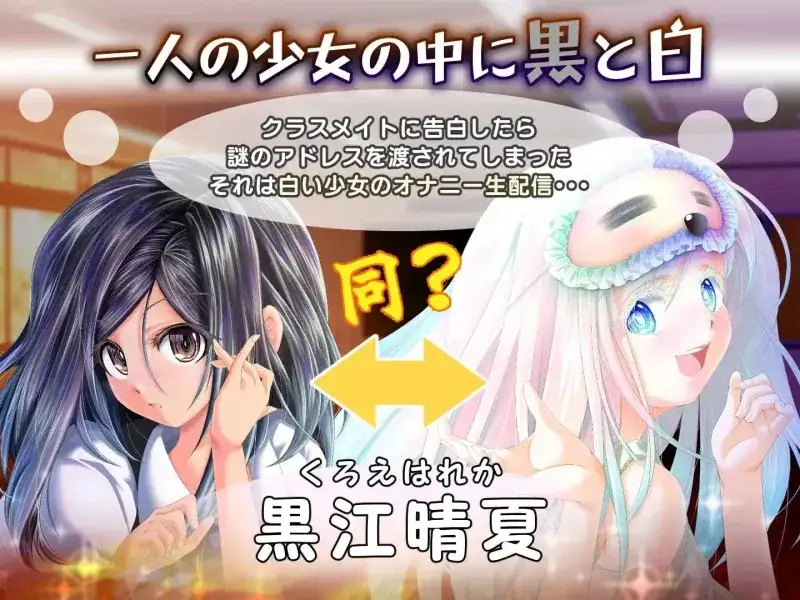 黄昏时偶然的黑与白1.2 PC端 AI汉化版 预览图