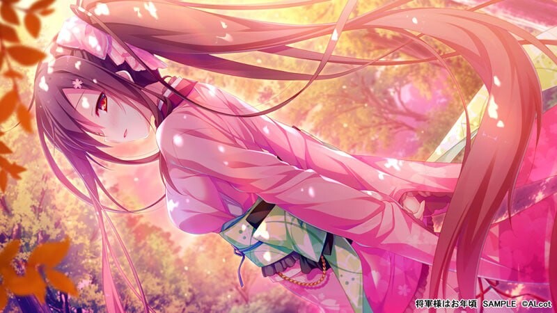 将军大人芳华正茂 Shogun-sama wa Otoshigoro 将軍様はお年頃 PC端 汉化版 预览图