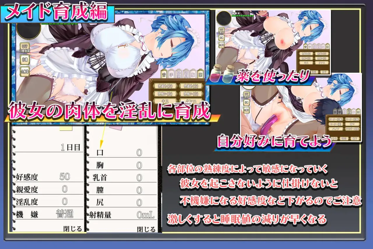 女仆永远跟在主人身边 v1.02/メイドはいつもご主人様の隣に PC端 汉化版 预览图