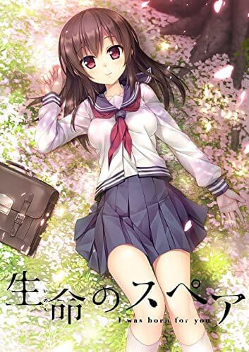 生命的备件 Inochi no Spare 生命のスペア PC端 汉化版 预览图