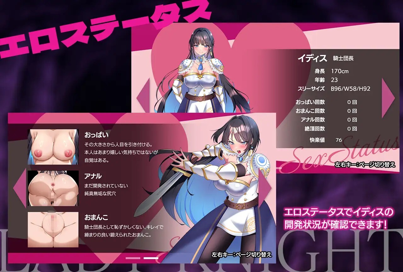 LadyKnight-魅魔迷宫- レディーナイト-魅魔の迷宮- v1.0.0 PC端 官中版 预览图