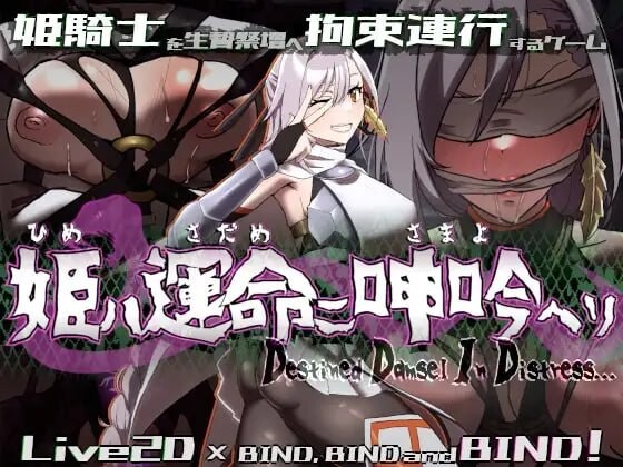 命运束缚的公主 姫ハ運命ニ呻吟ヘリ Destined Damsel In Distress v1.0.5 PC端 官中高清版 预览图
