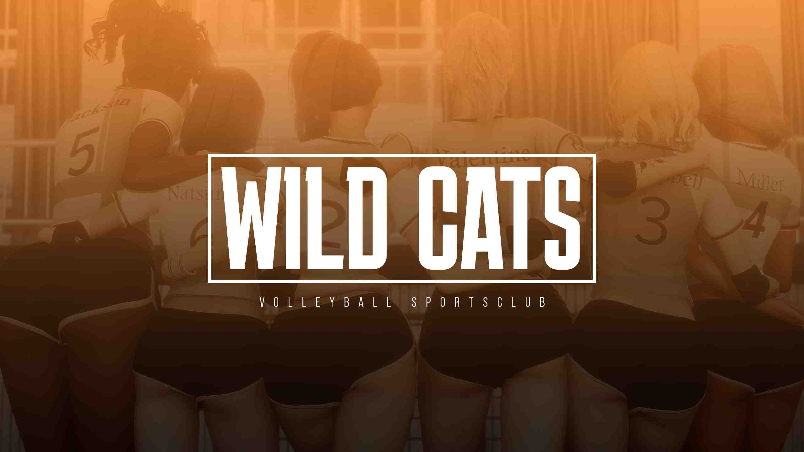 野猫 Wild Cats v0.4 PC端 官中版 预览图