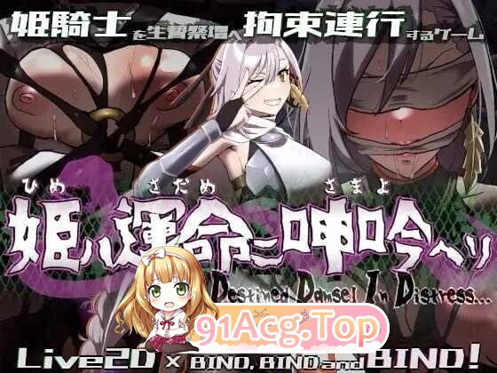 命运束缚的公主 姫ハ運命ニ呻吟ヘリ v1.0.5 ST官中版 PC端 预览图