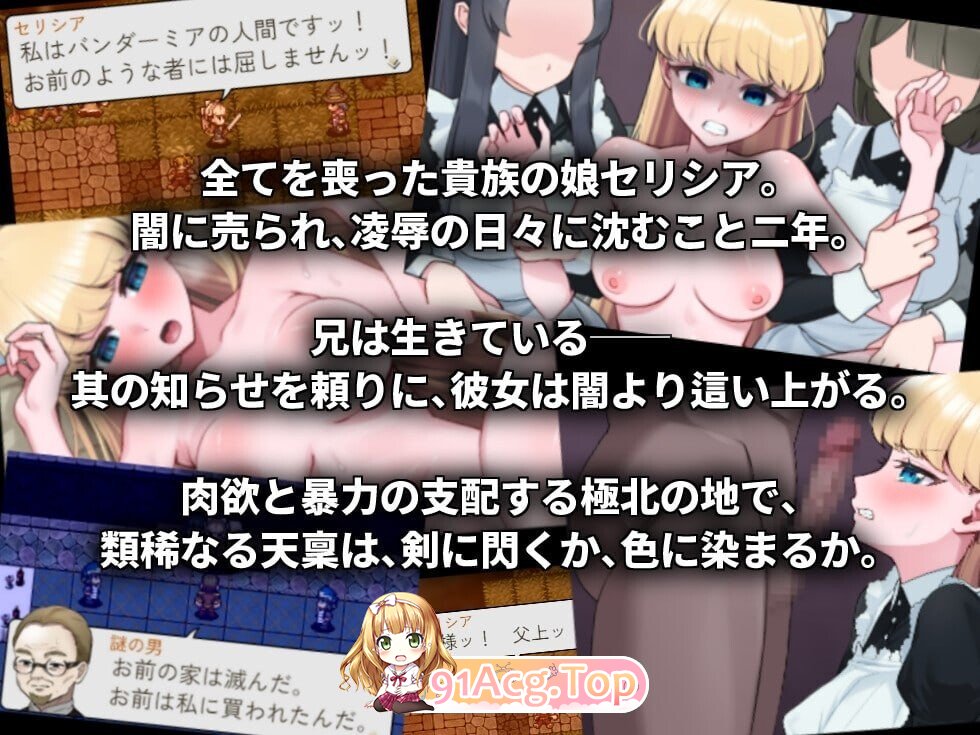没落剑姬塞莉西亚 没落剣姫セリシア 体验版 PC端 AI汉化版 预览图