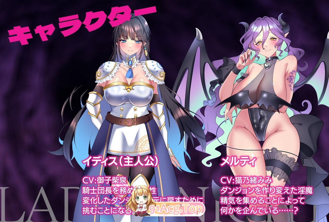 LadyKnight-魅魔迷宫 - レディーナイト-魅魔の迷宮 PC端 官中版 预览图