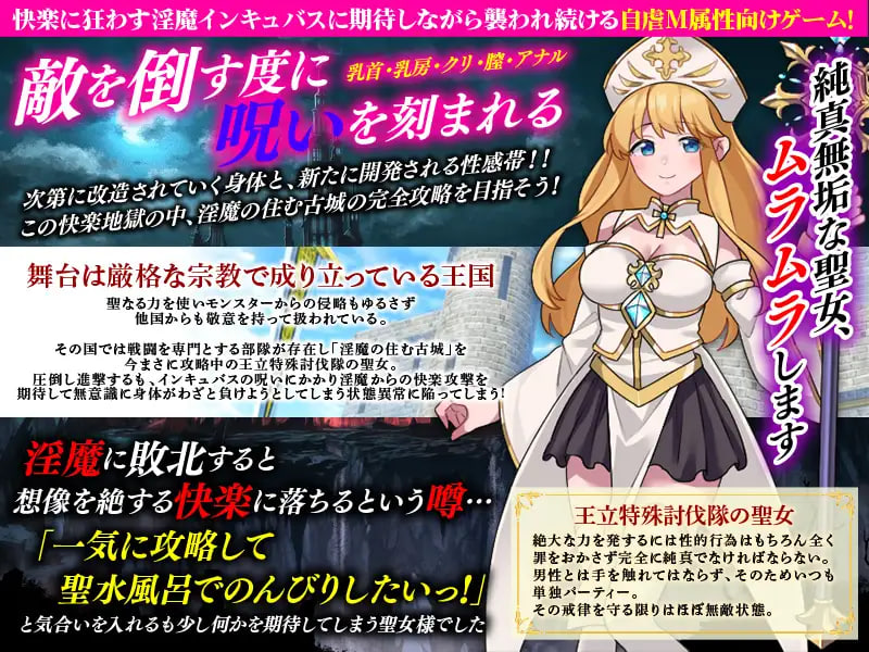 敏感带培育SLG 梦魔的诅咒 性感帯育成SLG インキュバスの呪い PC端 汉化版 预览图