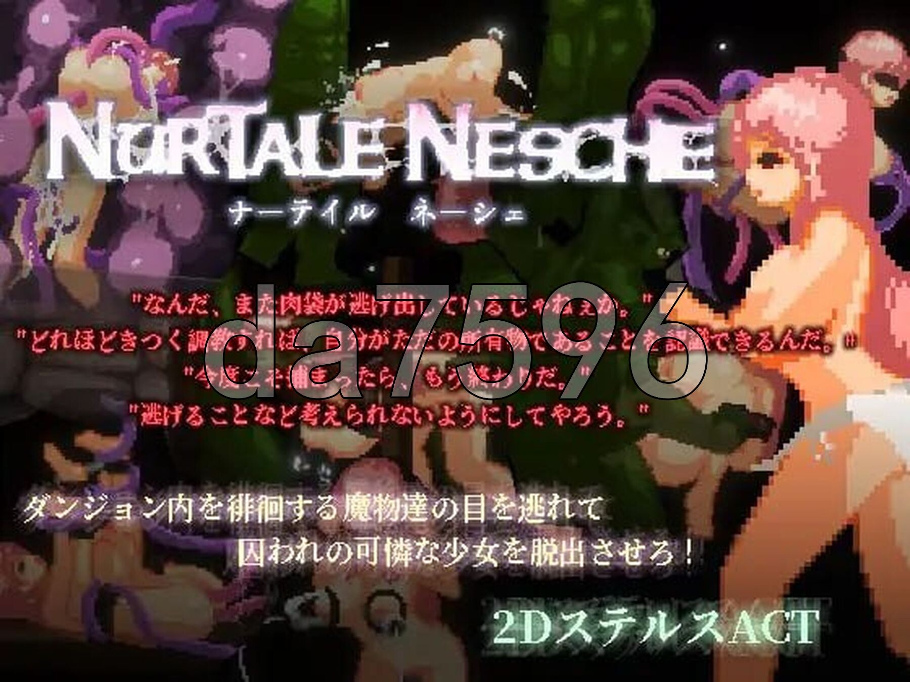 nurtale nesche ナーテイル・ネーシェ v1.0官中版 PC端 预览图