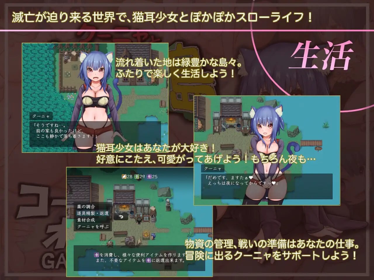 库尼亚与绝望之岛 クーニャと絶望の島 PC端 汉化版 预览图