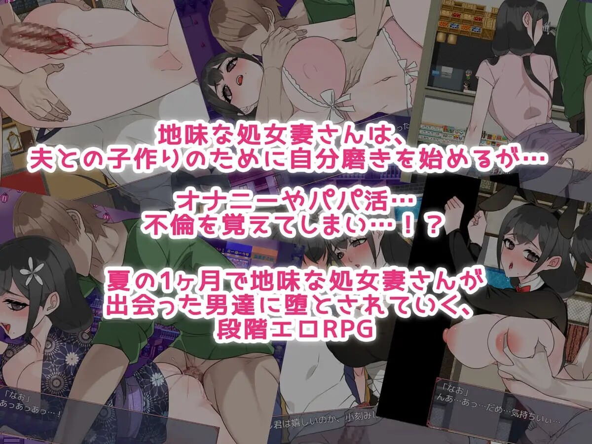 妻子堕落了。 奥さんは堕ちていく 安卓端 汉化版 预览图