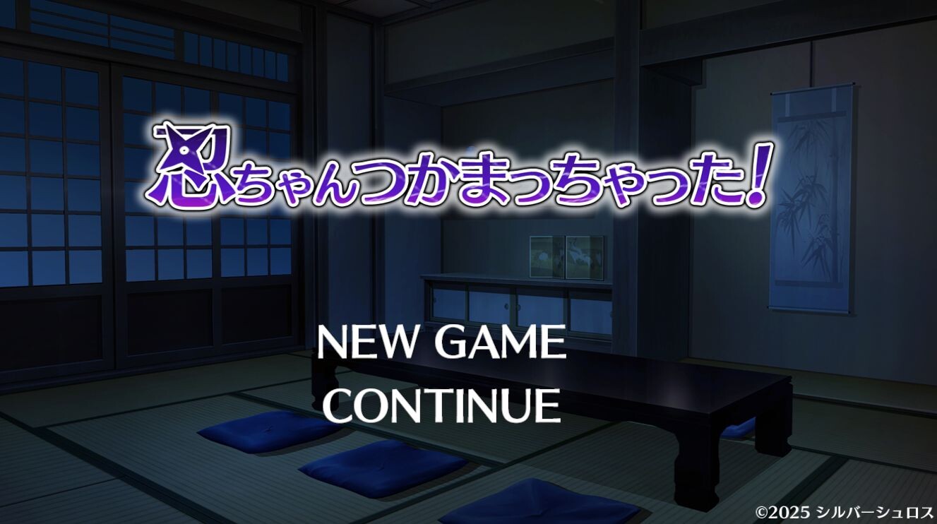 小忍被抓住啦！忍ちゃんつかまっちゃった！ 双端 更新版 预览图