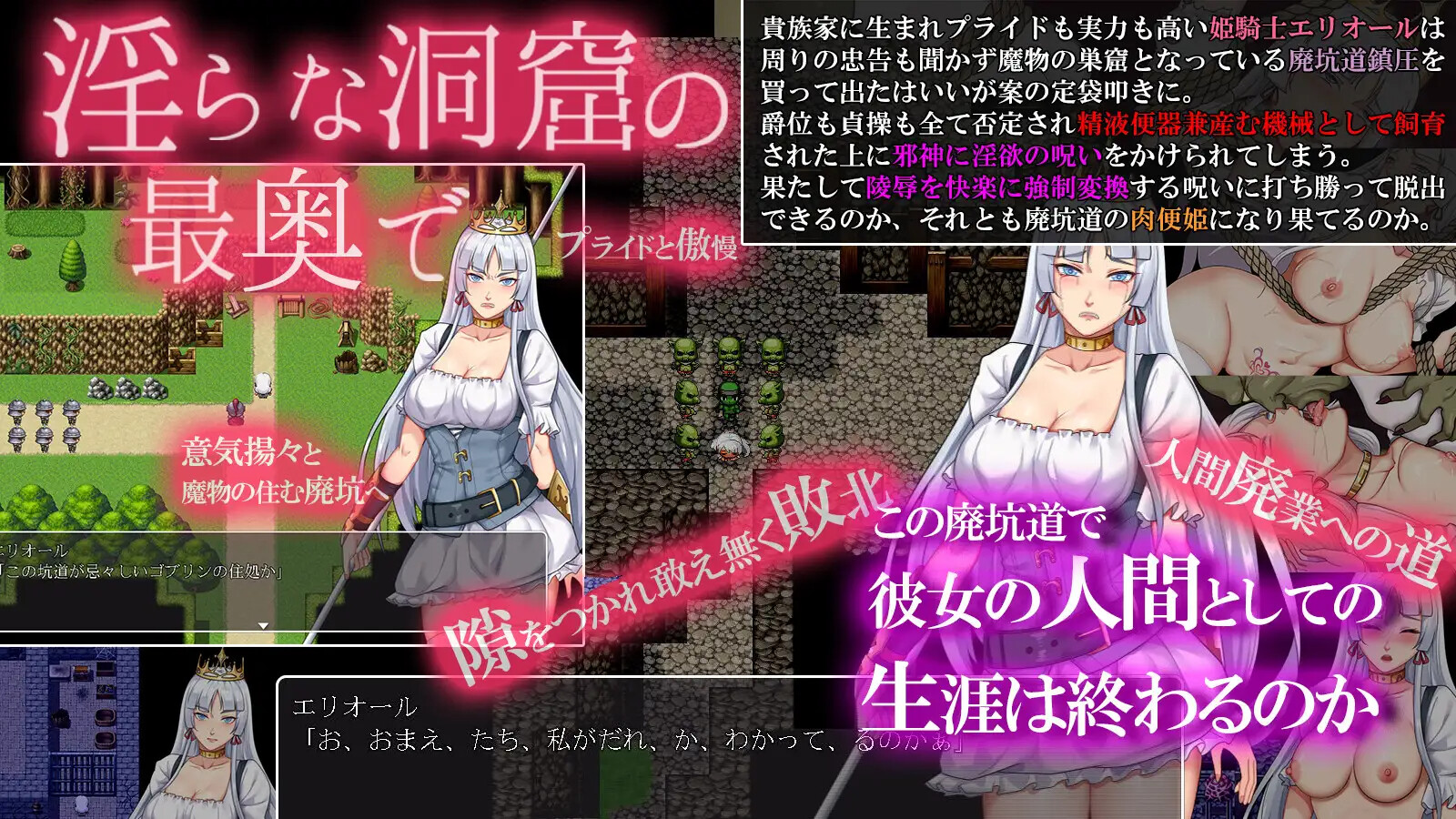 堕落骑士艾利欧尔 堕落騎士エリオール～廃坑道は肉快楽の魔岩窟～ 双端 AI汉化版 预览图