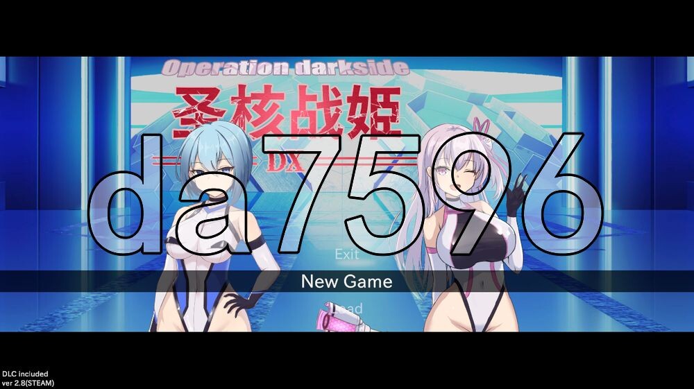 圣核战姫 DX Operation Darkside DX v2.8 PC端 官中高清版