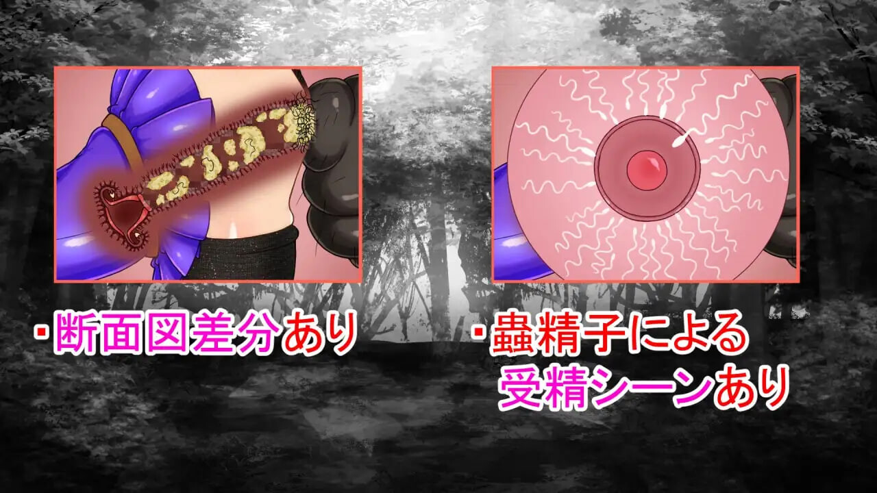 NTRRPG外伝～蟲姦の書v1.1 PC端 官中版 预览图