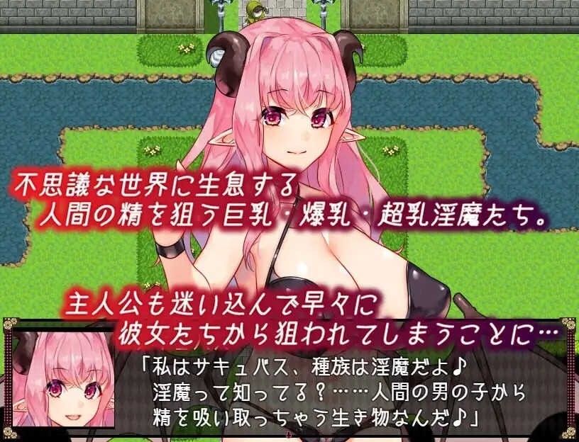 不可思议之国的魅魔 不思議の国のサキュバス v2.20 PC端 AI汉化版 预览图