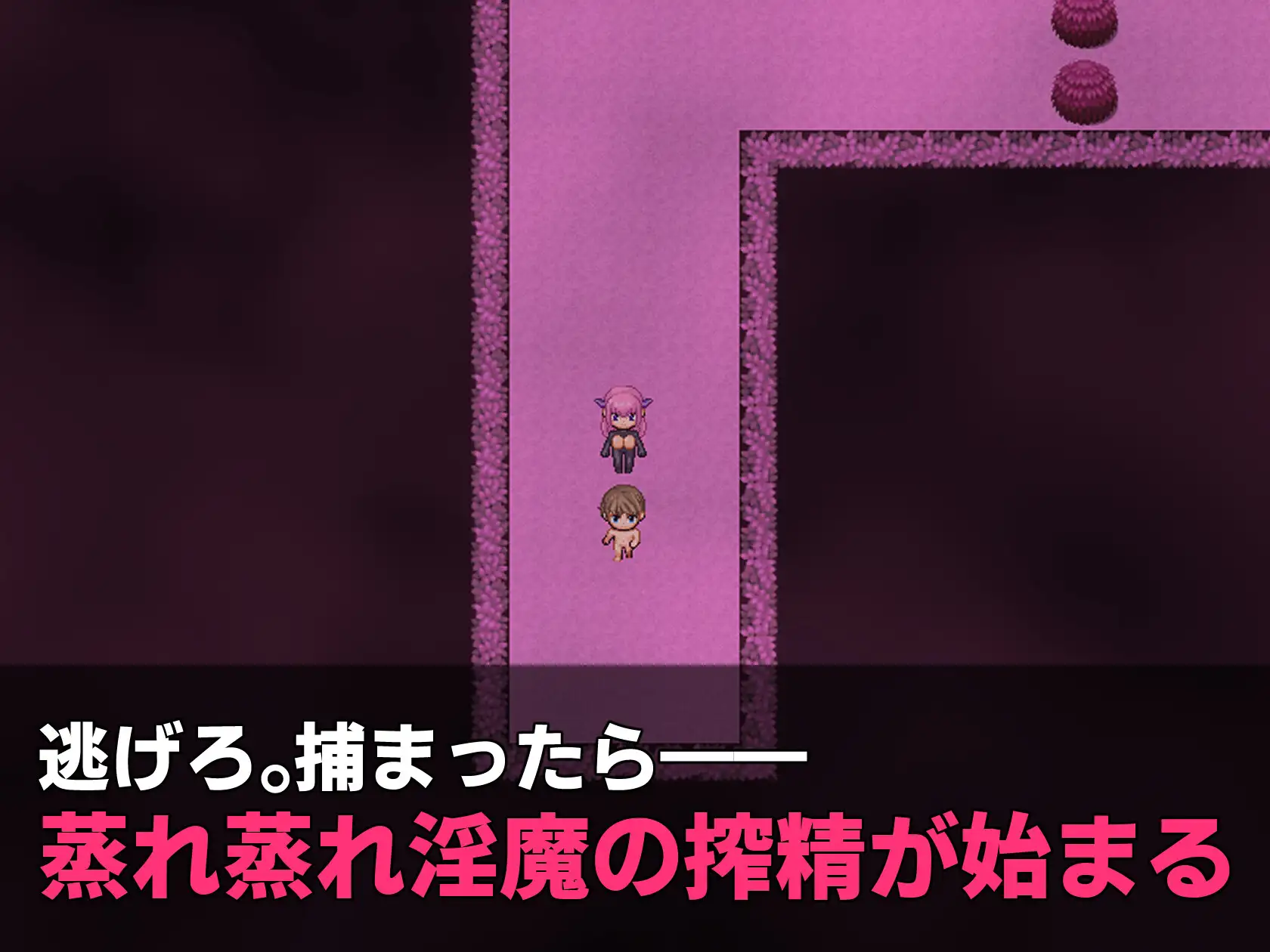 魅魔逃脱！～从闷热的森林中逃出～ 魅魔えすけーぷ！～蒸れっ蒸れの森からの脱出～ PC端 AI汉化更新版 预览图