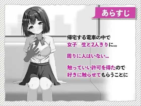 快感痴汉触摸电车/快感痴◯おさわり電車/生肉 PC端 日文原版 预览图