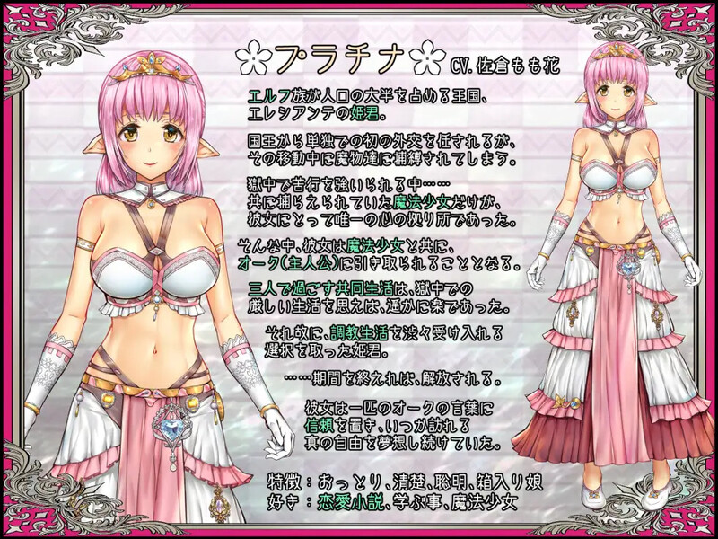少女异种间狱 ～魔法少女与精灵公主、与兽人共度的异世界乡间生活～（少女異種間獄 ～魔法少女&エルフ姫、オークと過ごす異世界性 PC端 汉化版 预览图
