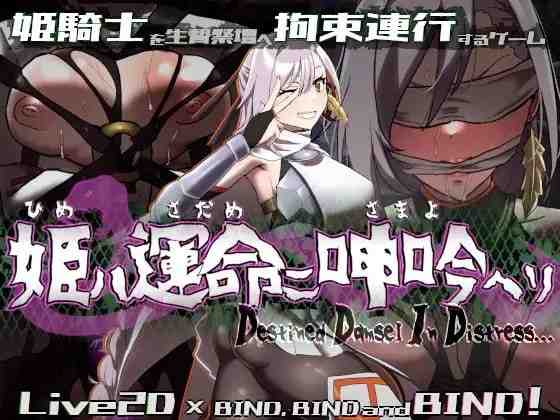 命运束缚的公主 / 姫ハ運命ニ呻吟ヘリ Destined Damsel In Distress v1.0.5 PC端 官中版 预览图