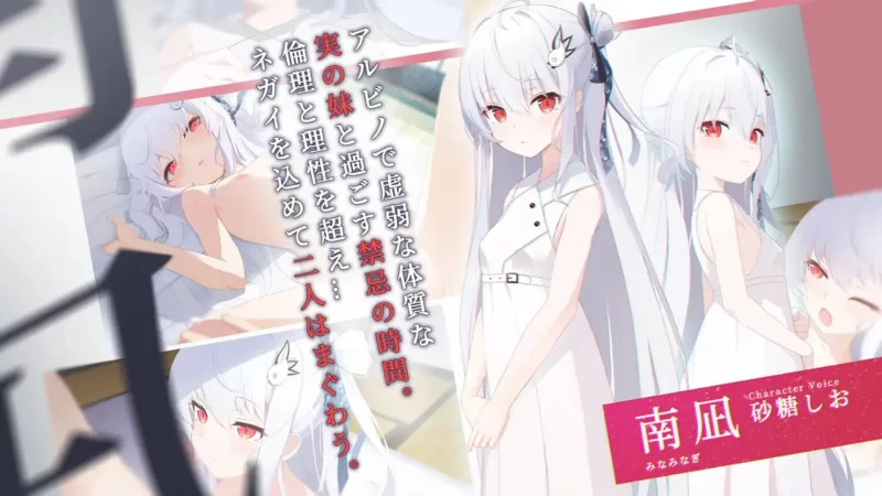 破碎的祈愿 官中汉化(カタネガイ) PC端 官中版 预览图