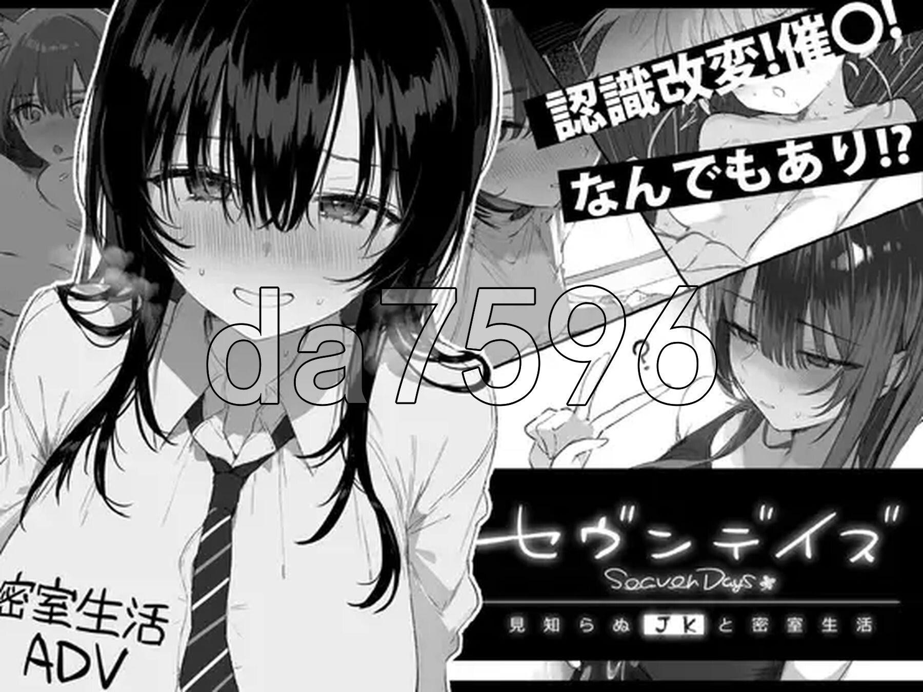 七日密室 与陌生校园角色的同居生活 セヴンデイズ 見知らぬJKと密室生活 v1.01 PC端 AI汉化版 预览图