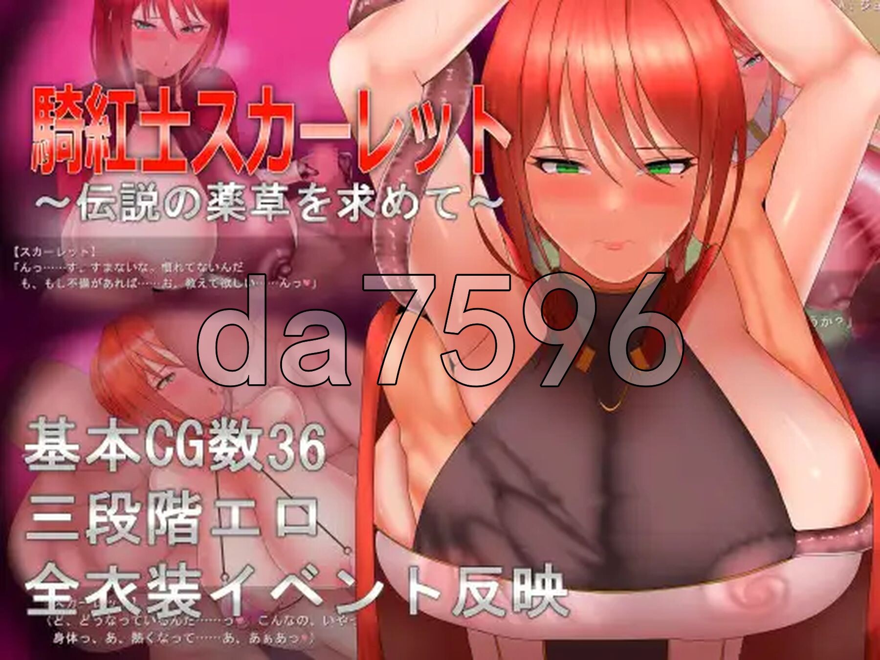 绯红骑士斯卡蕾特～追寻传说中的药草～ 騎紅士スカーレット～伝説の薬草を求めて～ V1.01 PC端 AI汉化版 预览图