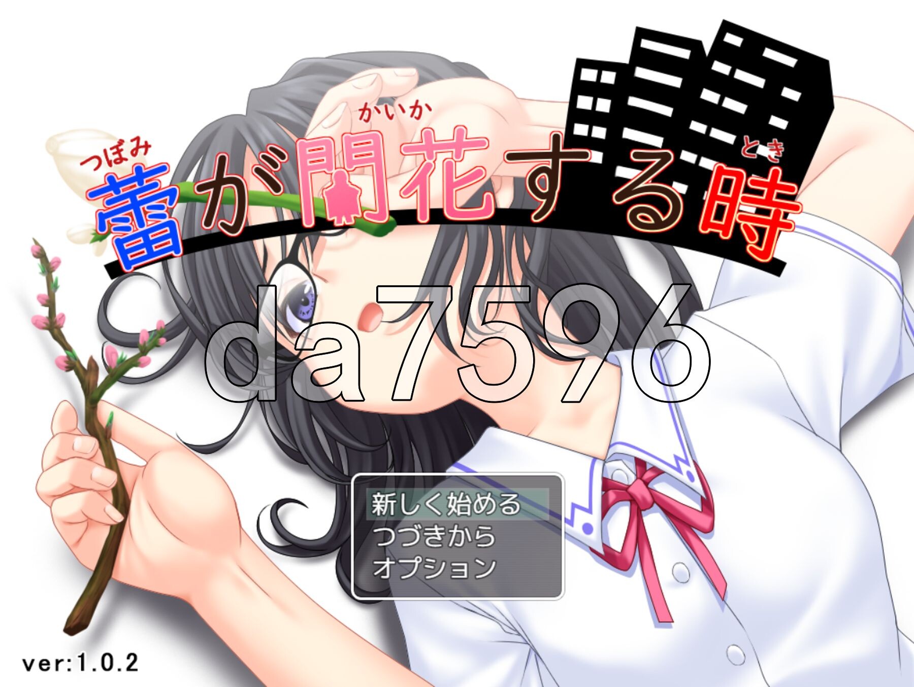 花蕾绽放之时蕾が開花する時 v1.0.2 PC端 AI汉化完整版 预览图