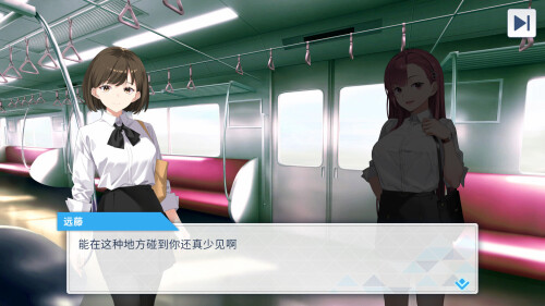 列车安全搜查官梨奈 Rina's Undercover Train Operation v1.18 PC端 步兵 预览图