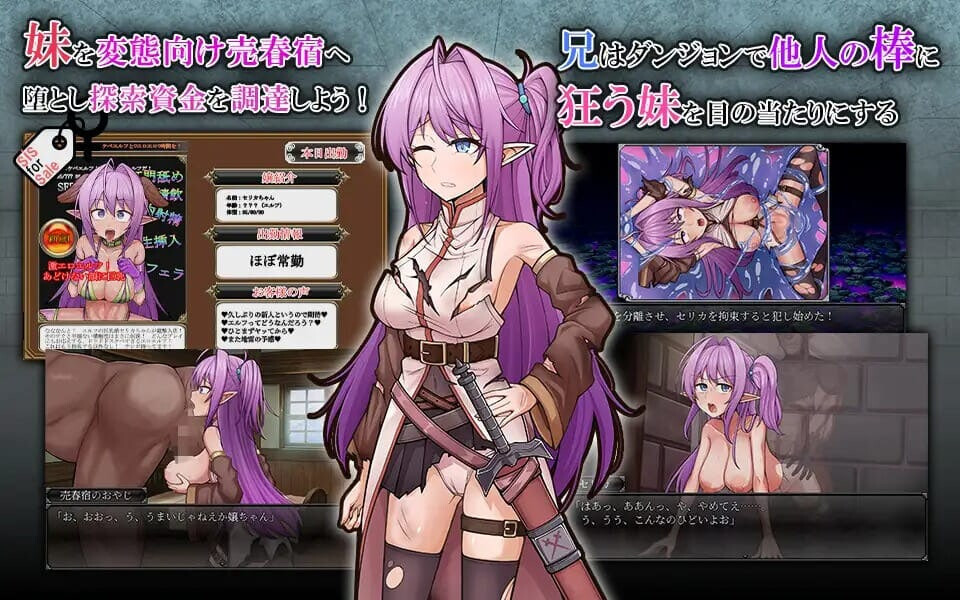 被寝取的发情精灵妹妹剑士塞莉卡 ネトラレ発情エルフ妹剣士セリ PC端 汉化版 预览图