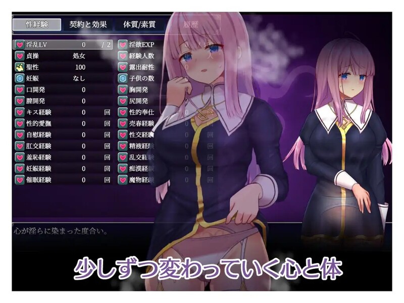 2C 艾妮希雅与契约纹 ～马蹄大街的娇弱圣女～（エニシアと契約紋 ～馬蹄通りの小聖女～）V0619 PC端 预览图