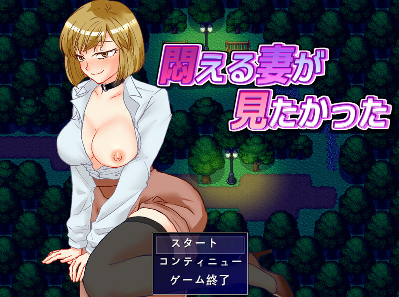 V1.0 PC端 AI汉化版 预览图