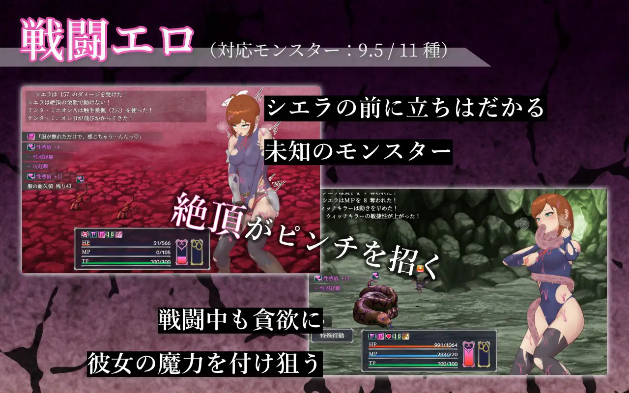 希尔艾拉的淫靡异常调查 -女剑士独自达到高潮- シエラの淫らな異変調査 -女剣士はソロでイク PC端 AI汉化更新版 预览图