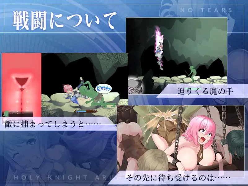 圣骑士阿尔内与魔孕的咒印 聖騎士アルネと魔孕の呪印～Another No Tears～ 1.5 PC端 预览图