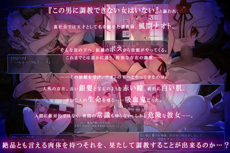 吸血鬼养成（ヴァンパイア养成记录～天才养成记录師は高位生命体）V1.0 内嵌AI汉化版 双端 预览图
