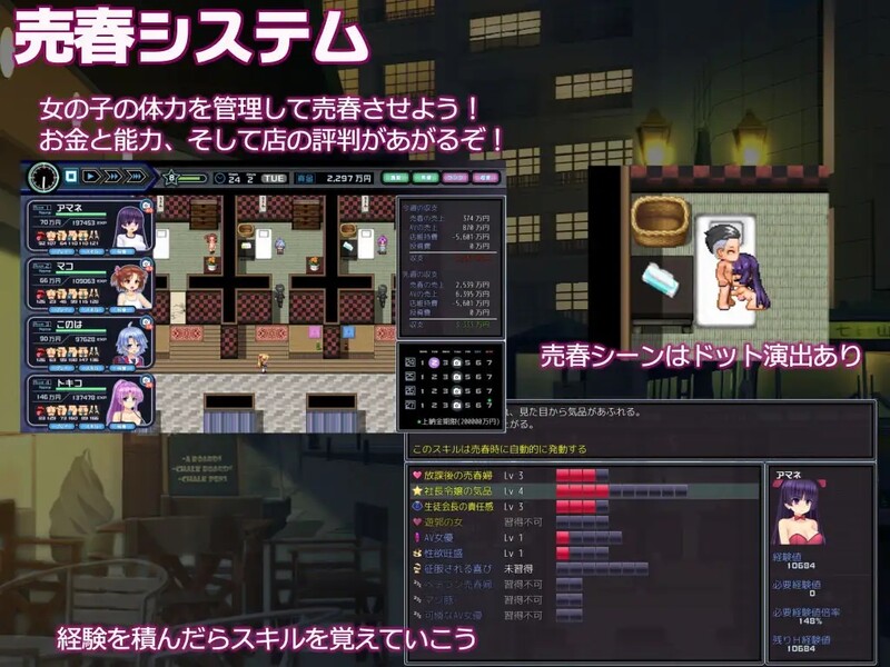少女组长凛凛花的经营记（少女組長リリカの角色館経営記）V1.1 汉化中文 PC端 汉化版 预览图