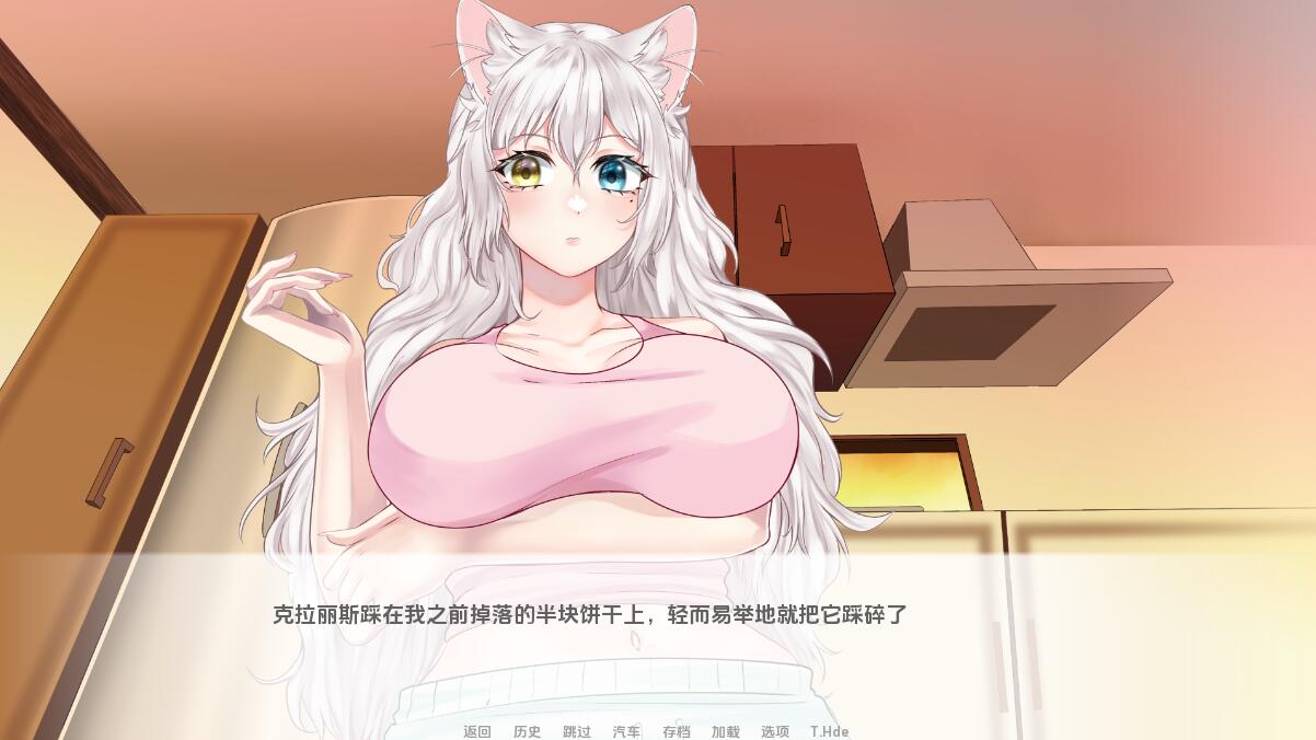 猫女 涅槃米糠 Nezumicon-v0.1.27 双端 汉化版 预览图