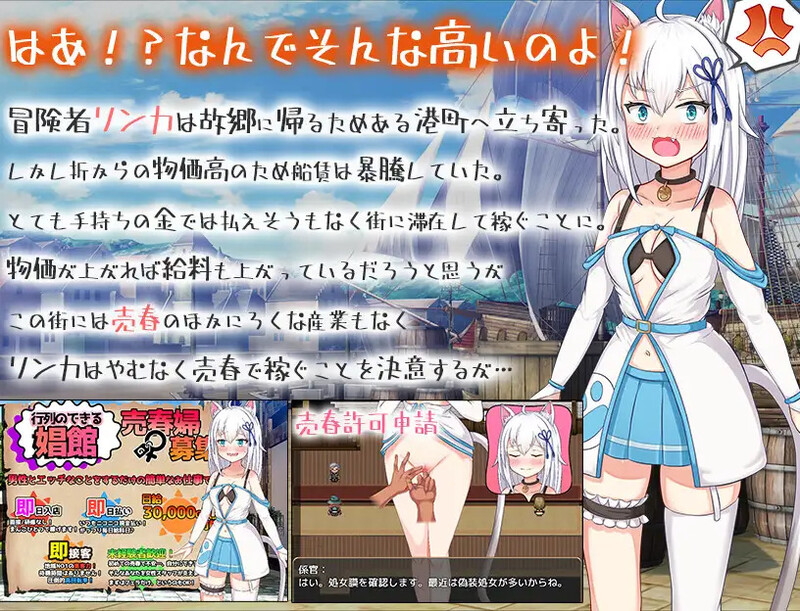 赚钱吧!猫耳娘～异世界社交SLG～（稼げ猫耳娘 ～異世界社交SLG～）V1.0 内置AI汉化 双端 AI汉化版 预览图