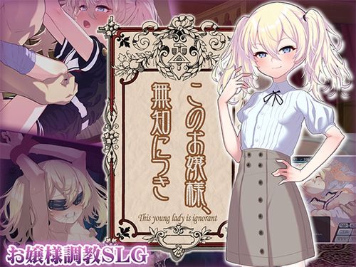 这位小姐，因无知所致/このお嬢様、無知につき V5 Ver1.2.3 PC端 AI汉化版 预览图